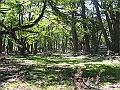 Patagonie 067
